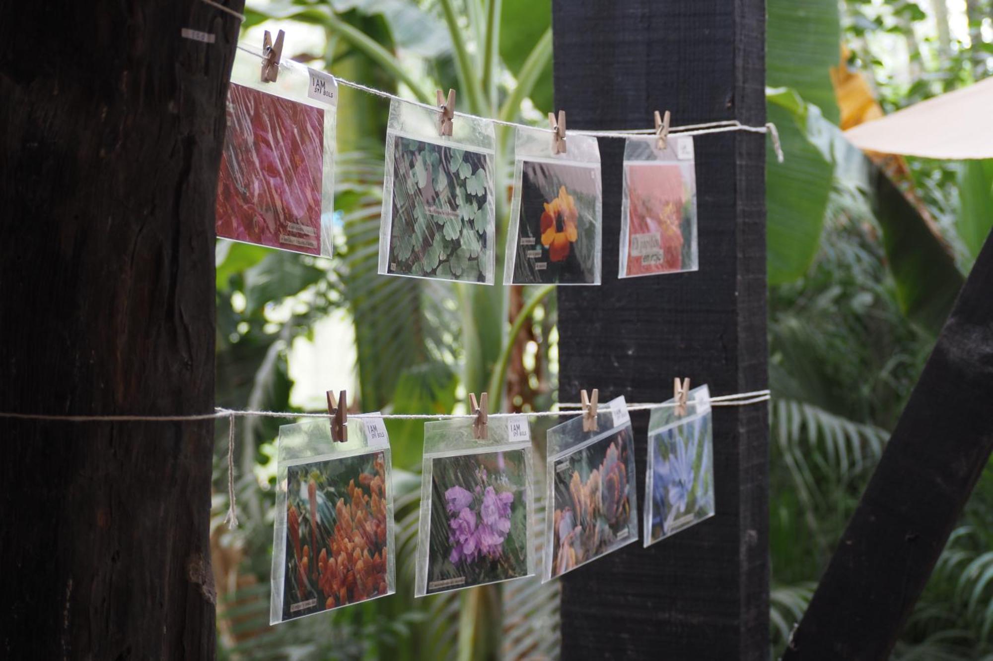 Hotel El Refugio De Sayulita - Health And Wellness House Exterior foto