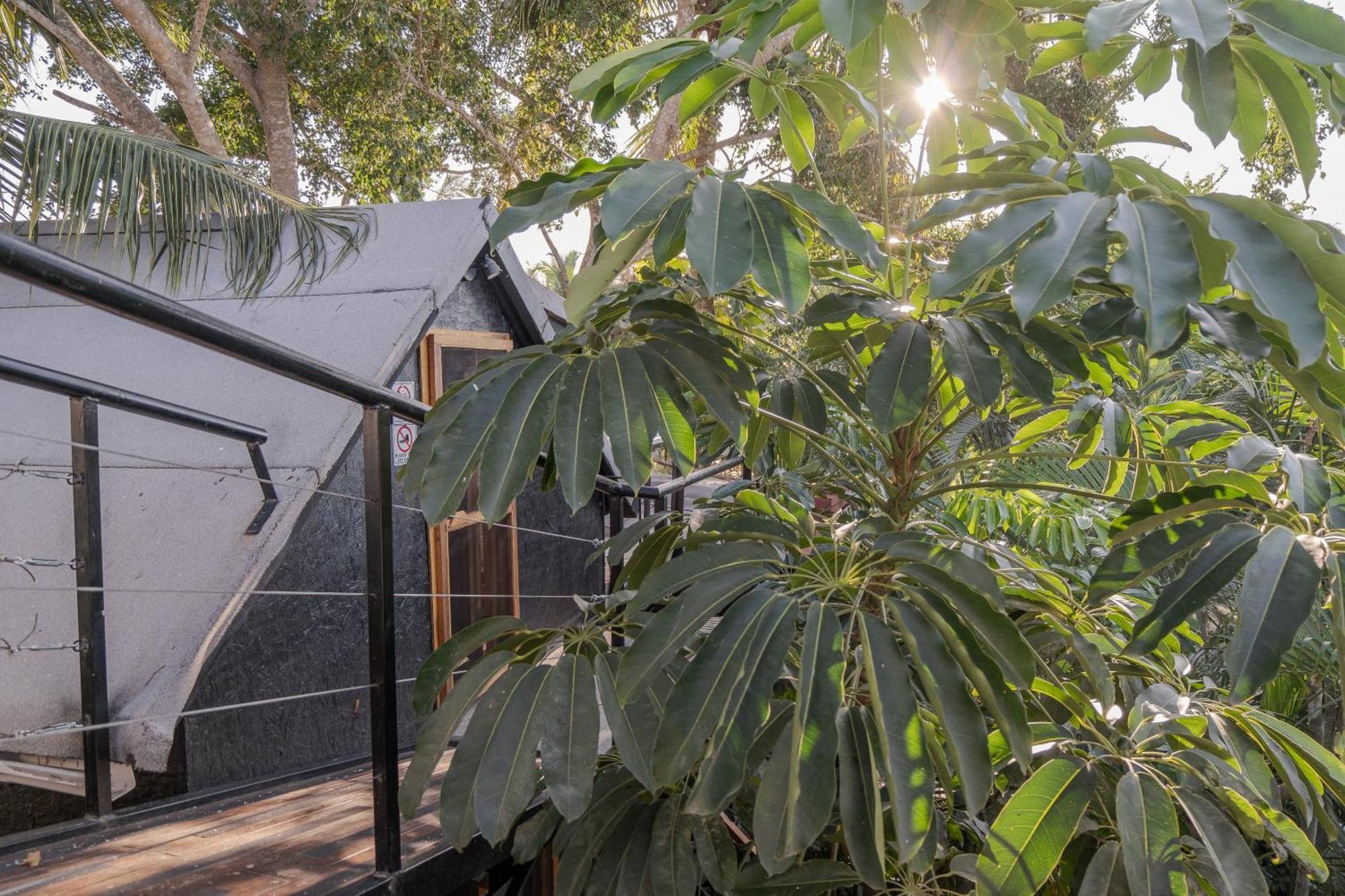 Hotel El Refugio De Sayulita - Health And Wellness House Exterior foto