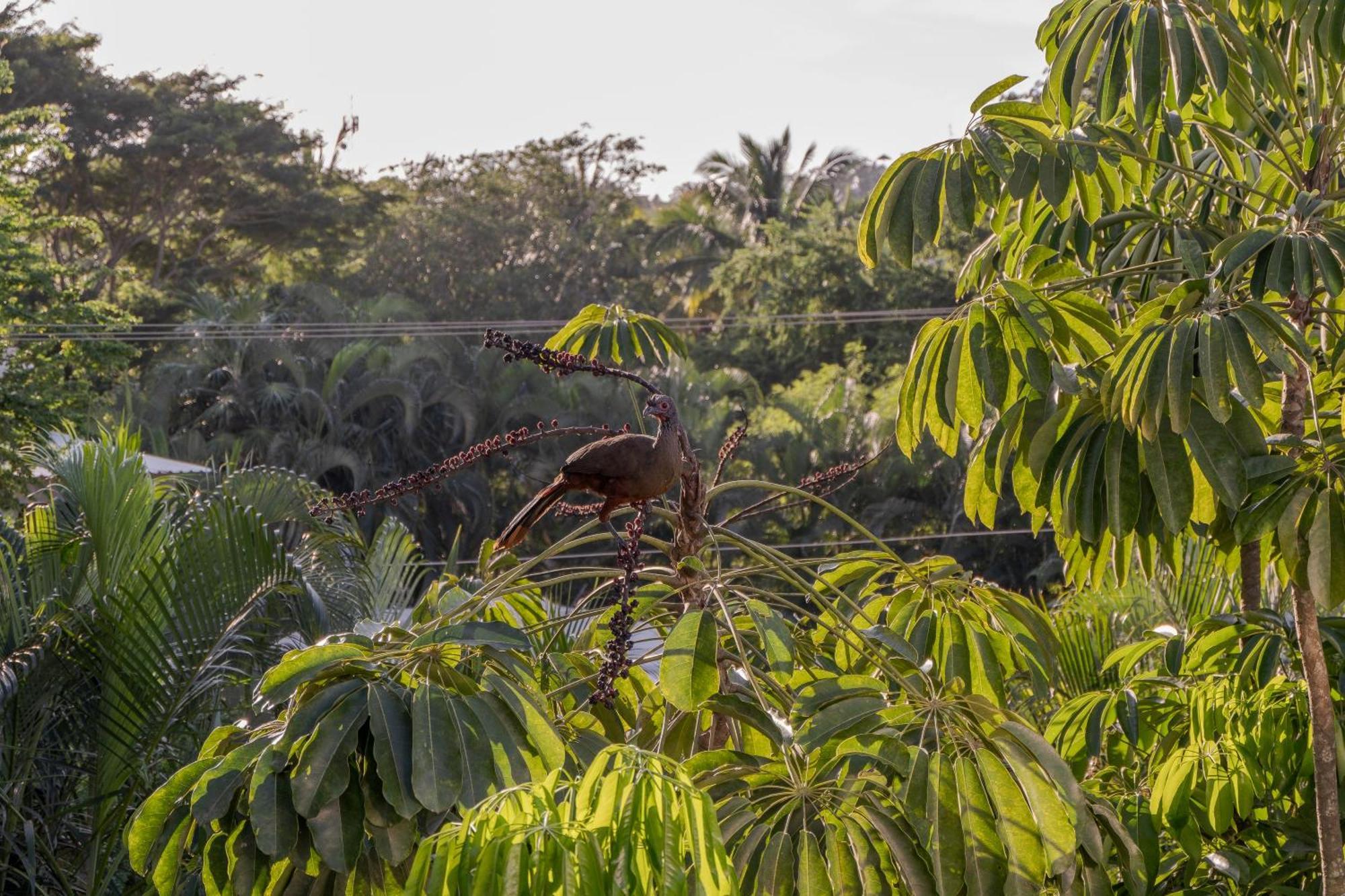 Hotel El Refugio De Sayulita - Health And Wellness House Exterior foto